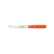 NOGENT Couteau steak orange 11 cm