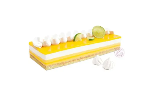 SCRAPCOOKING CADRE P 1916