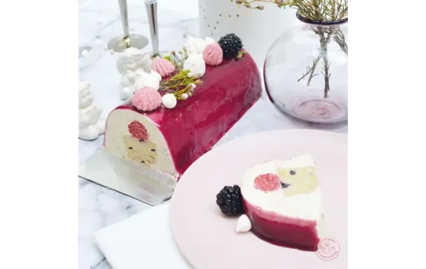 SCRAPCOOKING Moule bûche XXL