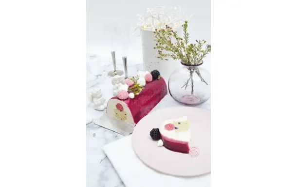 SCRAPCOOKING Moule bûche XXL