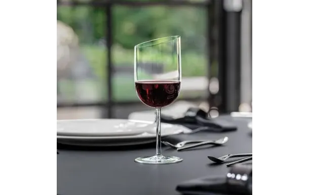 VILLEROY ET BOCH Lot 4 verres à vin rouge 40 cl New Moon 11-3653-8110