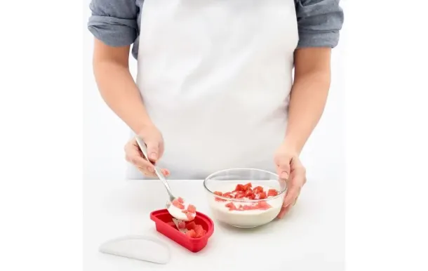 LEKUE Lot de 4 moules à glaces - Pastèques & Ananas