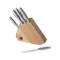 RICHARDSON SHEFFIELD Bloc 5 couteaux Sense 041001