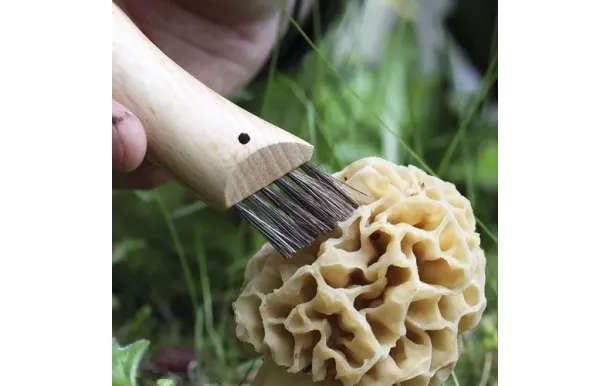 OPINEL COUTEAUX CHAMPIGNONS NO 8