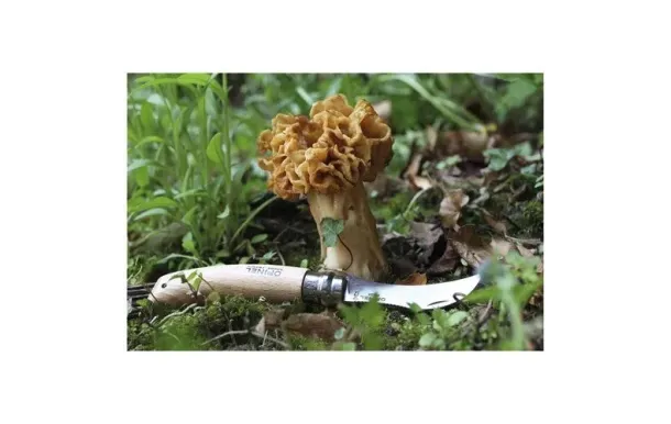 OPINEL COUTEAUX CHAMPIGNONS NO 8