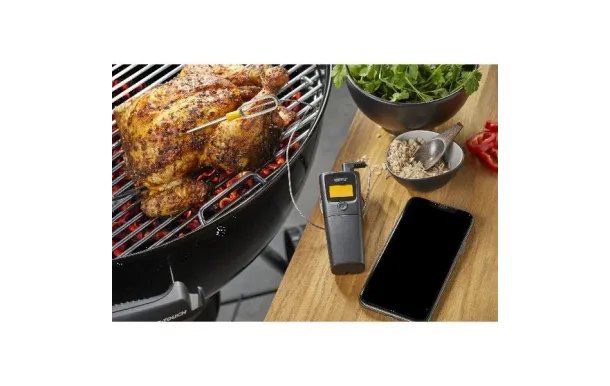 GEFU THERMOMETRE DE CUISSON CONTROL BLUETOOTH*N 21950
