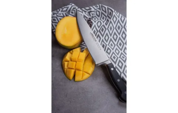 ARCOS Couteau Chef 21 cm - Opera
