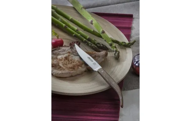ARCOS Couteau à steak lame lisse 11 cm - Micarta