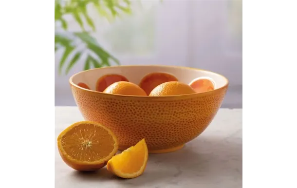 TYPHOON Bol ovale 21.5 cm Orange - World Food Fruits