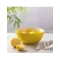 TYPHOON Bol 16 cm Citron - World Food Fruits