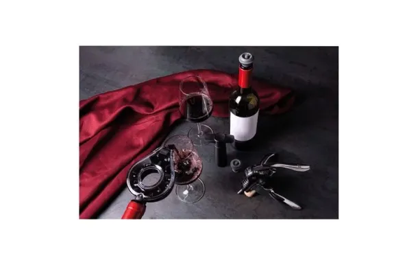 VACUVIN Coffret 5 pièces - Wine Set Air Deluxe