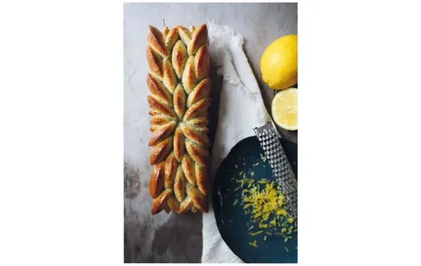 SCRAPCOOKING Moule silicone bûche 3D "Instant" 2893