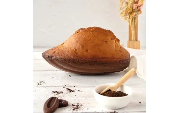 PATISSE MOULE A MADELEINE XXL 25.5X17.5X4 02974