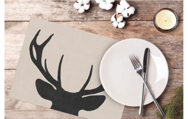 PODEVACHE - Set de table vinyle Minto