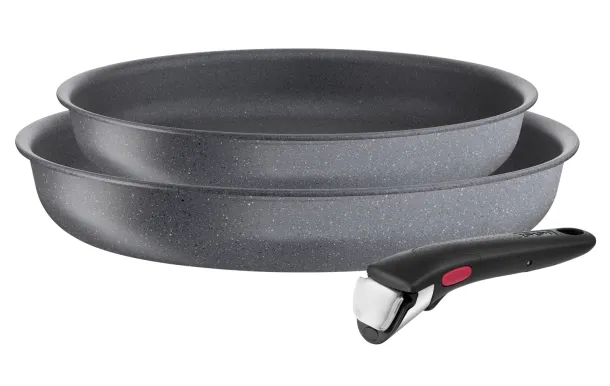 TEFAL Ingenio Natural Force 2 Poeles D22/26 AA + poignée - L3969202 TEFAL Ingenio Natural Force 2 Poeles D22/26 AA + poignée - L3969202