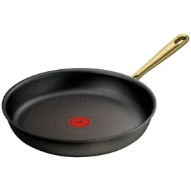 TEFAL PAUL BOCUSE POELE ALU 30CM G3370702