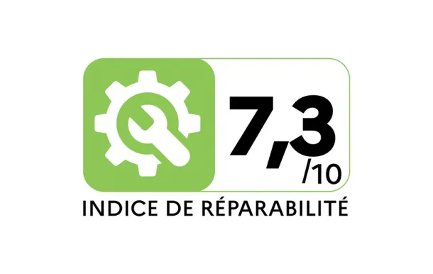 PHILIPS Aspirateur sans sac PowerPro Active Bleu Louros 750W 1,5L 76db - FC9556-09