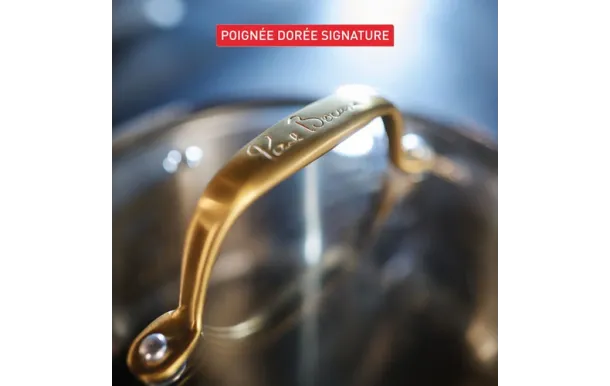 TEFAL Faitout inox 24 cm + couvercle - Paul Bocuse