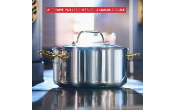 TEFAL Faitout inox 24 cm + couvercle - Paul Bocuse