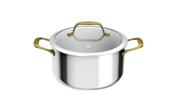 TEFAL Faitout inox 24 cm + couvercle - Paul Bocuse