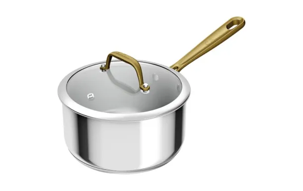 TEFAL Casserole inox 20 cm + couvercle - Paul Bocuse