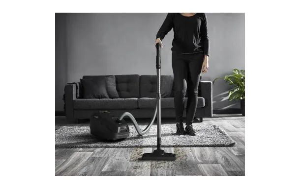 ROWENTA Aspirateur sac - Green Force Effitech - RO6180EA