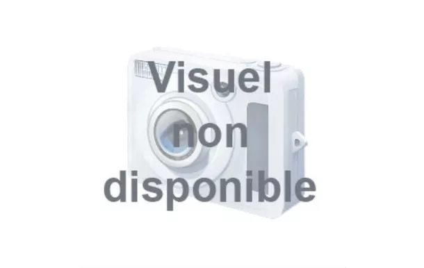 SUPRA 100311 4 buses