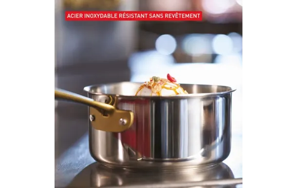 TEFAL Casserole inox 16 cm + couvercle - Paul Bocuse