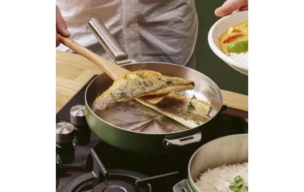 COOKUT - La merveilleuse Poêle Inox 28 cm Fougère