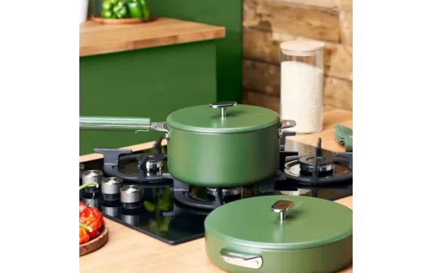 COOKUT - Merveilleuse casserole inox 20 cm Fougère