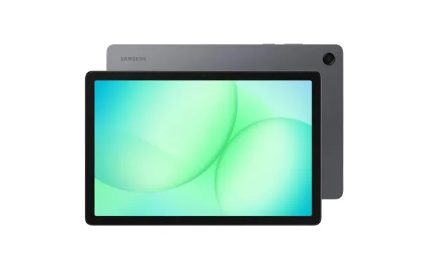 SAMSUNG Tablette tactile And SM-X230NZAREUB