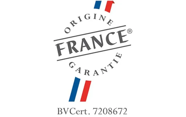 INVICTA Poêle à bois fonte SIAM 12 kW – Style rétro