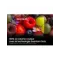 Samsung TV QLED 40" FHD – Couleurs vives & Smart TV
