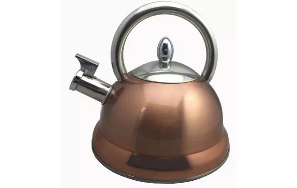 BAUMALU Bouilloire inox Cuivré 3 L à sifflet avis comparatif 2019 avis moins cher
