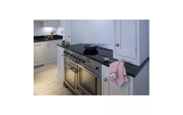 Cuisinière Induction FALCON Professional + 110 deluxe Inox - PDL110EISS/C