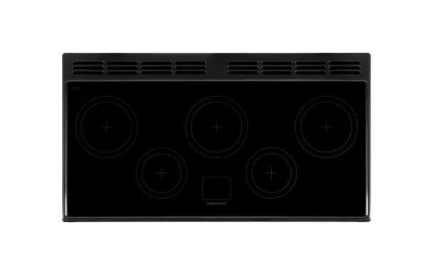 Cuisinière Induction FALCON Professional + 110 deluxe Inox - PDL110EISS/C