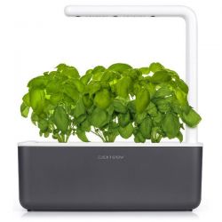 EMSA Potager d'intérieur 3 plantes Gris - Smart Garden Click & Grow