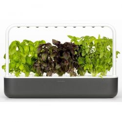 EMSA Potager d'intérieur 9 plantes Gris - Smart Garden Click & Grow