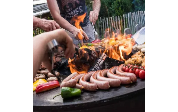 REMUNDI Plancha braséro Zeus 801027