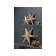 décoration étoile en feuille de bois 65 cm