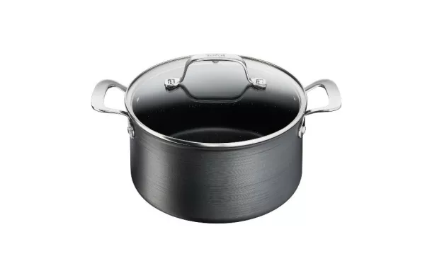  TEFAL Faitout 24 cm + couvercle - Unlimited Premium casserole serie de casseroles inox pas cher avis