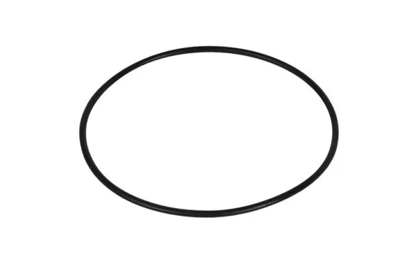 LAGOSTINA JOINT AUTOCUISEUR LAGOSTINA DIAM 24