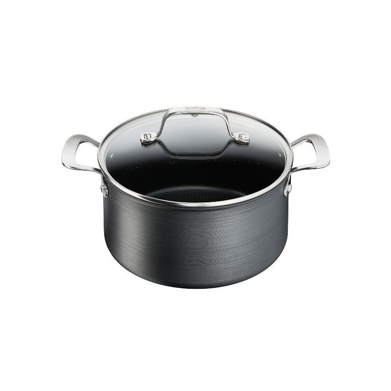 tefal faitout 24 cm + couvercle - unlimited premium