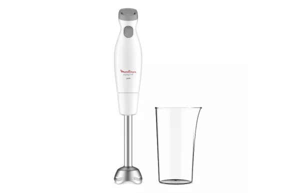  MOULINEX Mixeur plongeant avis moins cher