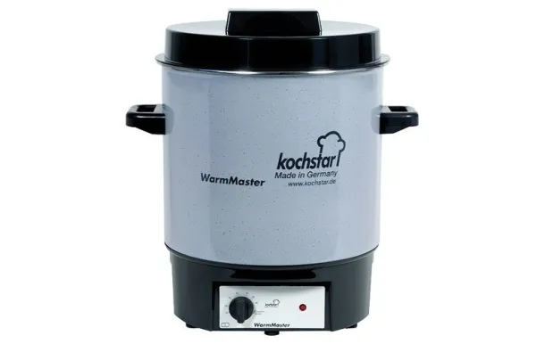 KOCHSTAR Stérilisateur électrique + thermostat + grille 2500 avis moins cher
