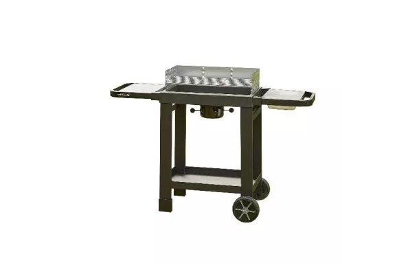 COOK IN GARDEN Barbecue charbon - Easy 60 