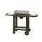 COOK IN GARDEN Barbecue charbon - Easy 60 