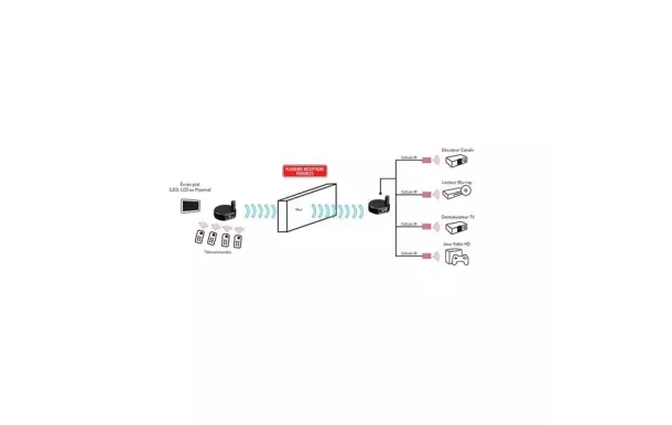 ERARD Transmetteur sans fi 6986