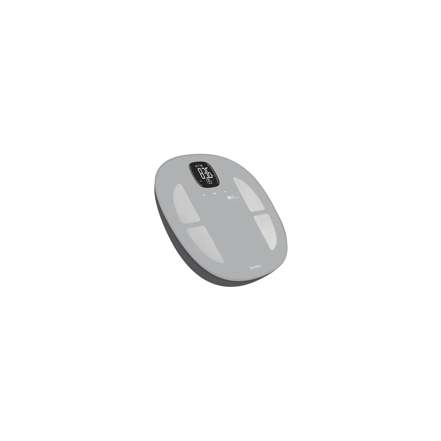 TERRAILLON Pèse-personne MASTERFIT
