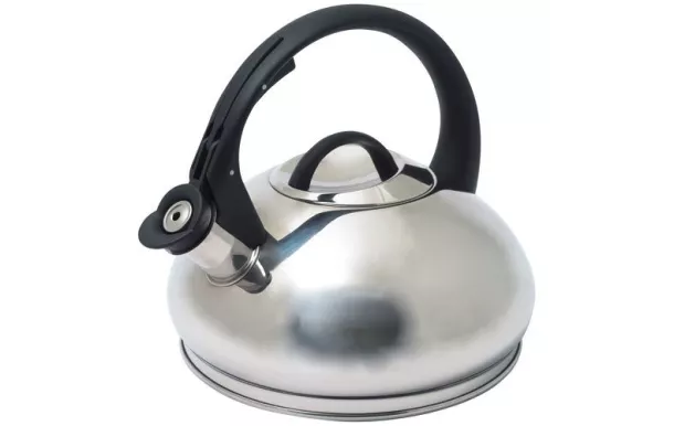 BAUMALU Bouilloire 3 L Inox à sifflet avis moins cher